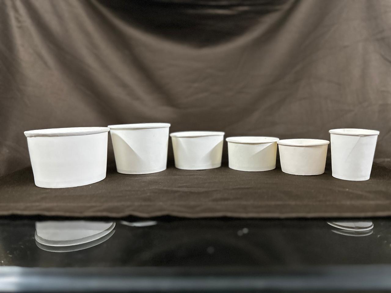 Paper Bowls β custom branded packaging Pakistan